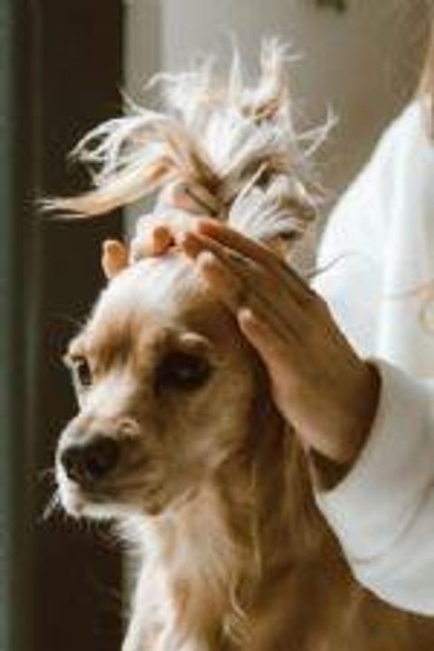  Oakland Park FL 33334