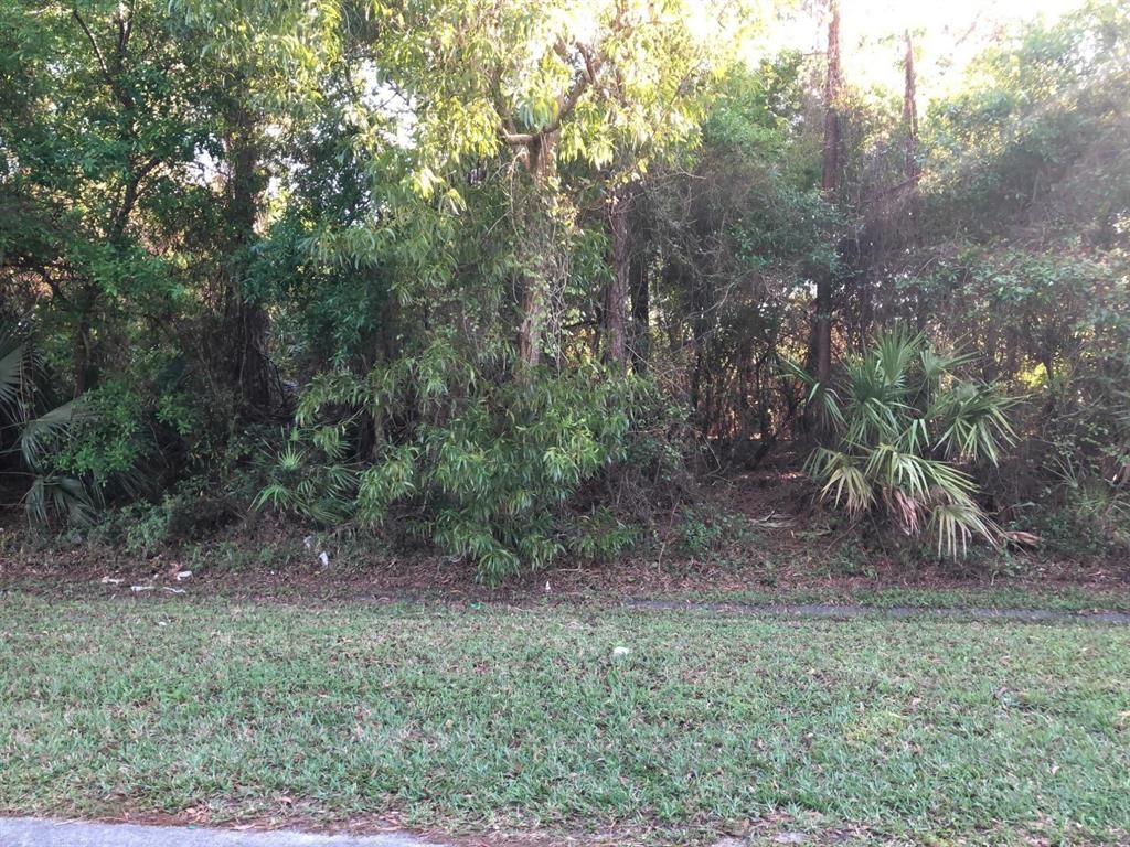 Photo of 1842 SW Alberca Lane, Port Saint Lucie, FL 34953 (MLS # R10696316)