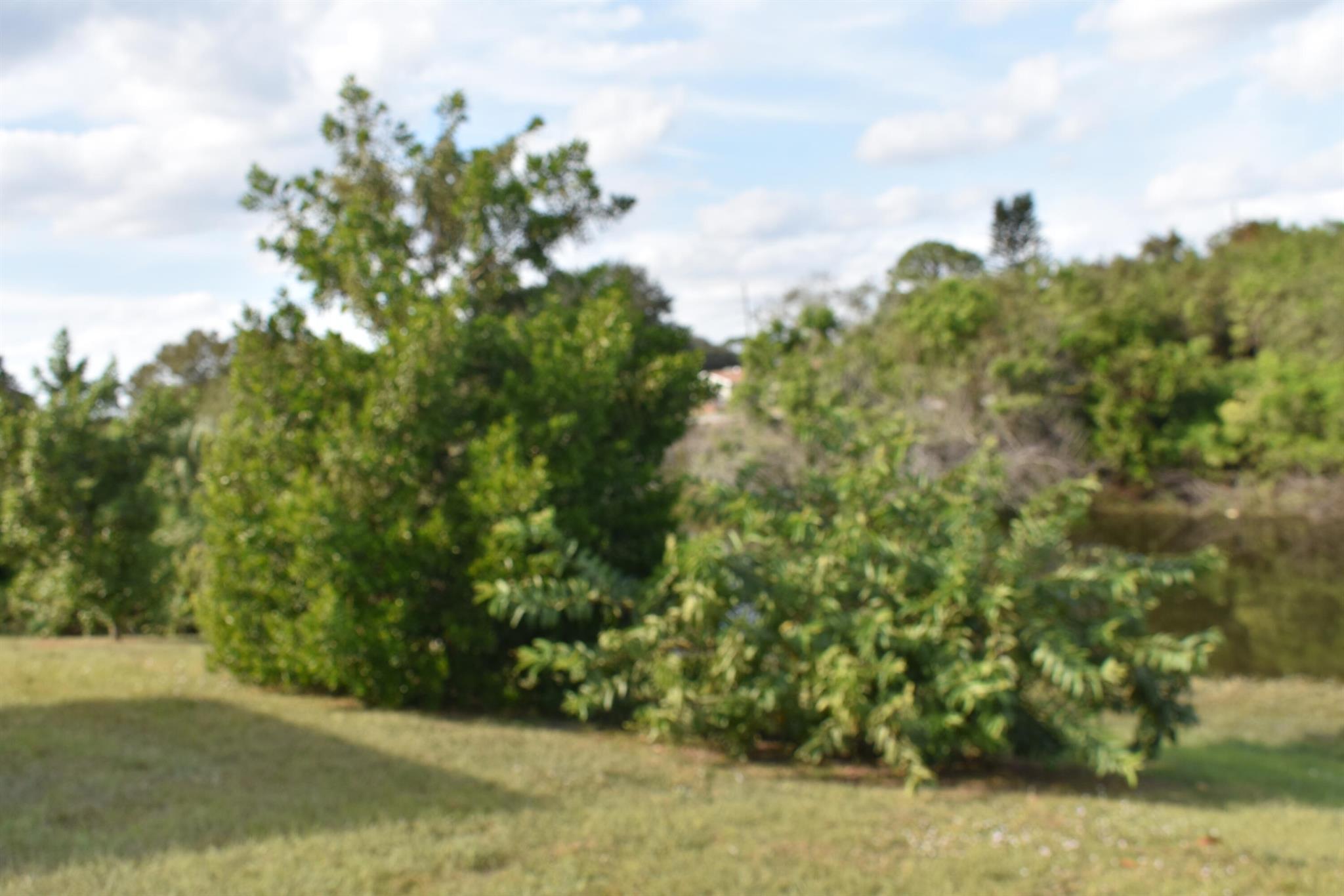 PORT ST LUCIE SECTION 18 - Residential Lease