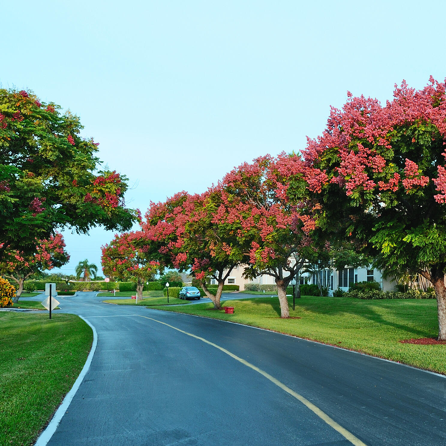LAKE CLARKE GARDENS CONDO 25 - Residential