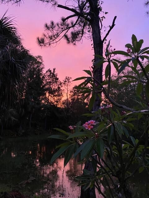 A home in Jupiter