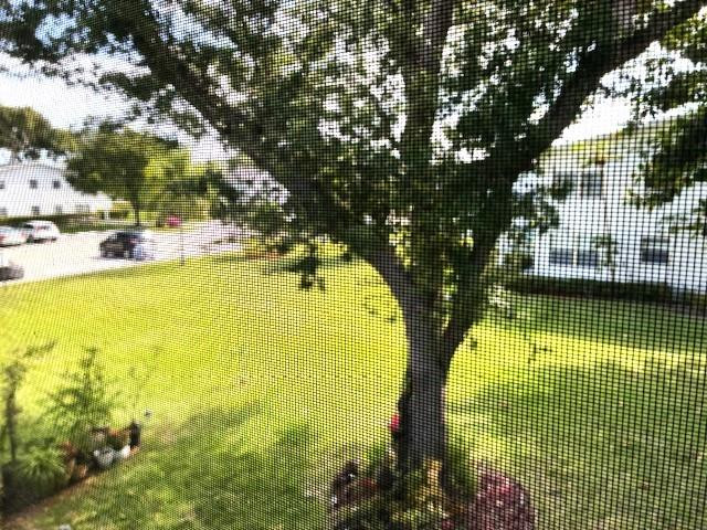 Century Village - Residential