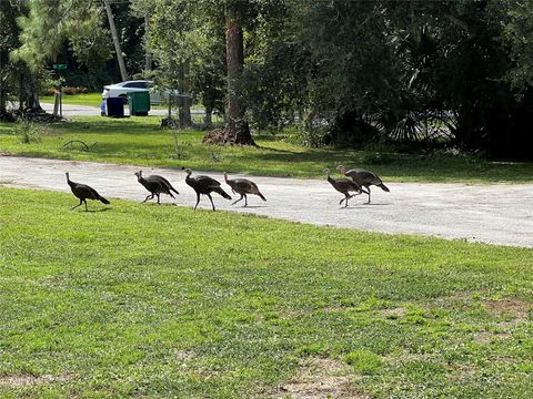 A home in Okeechobee