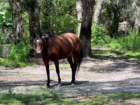 A home in Okeechobee