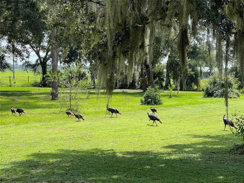 A home in Okeechobee