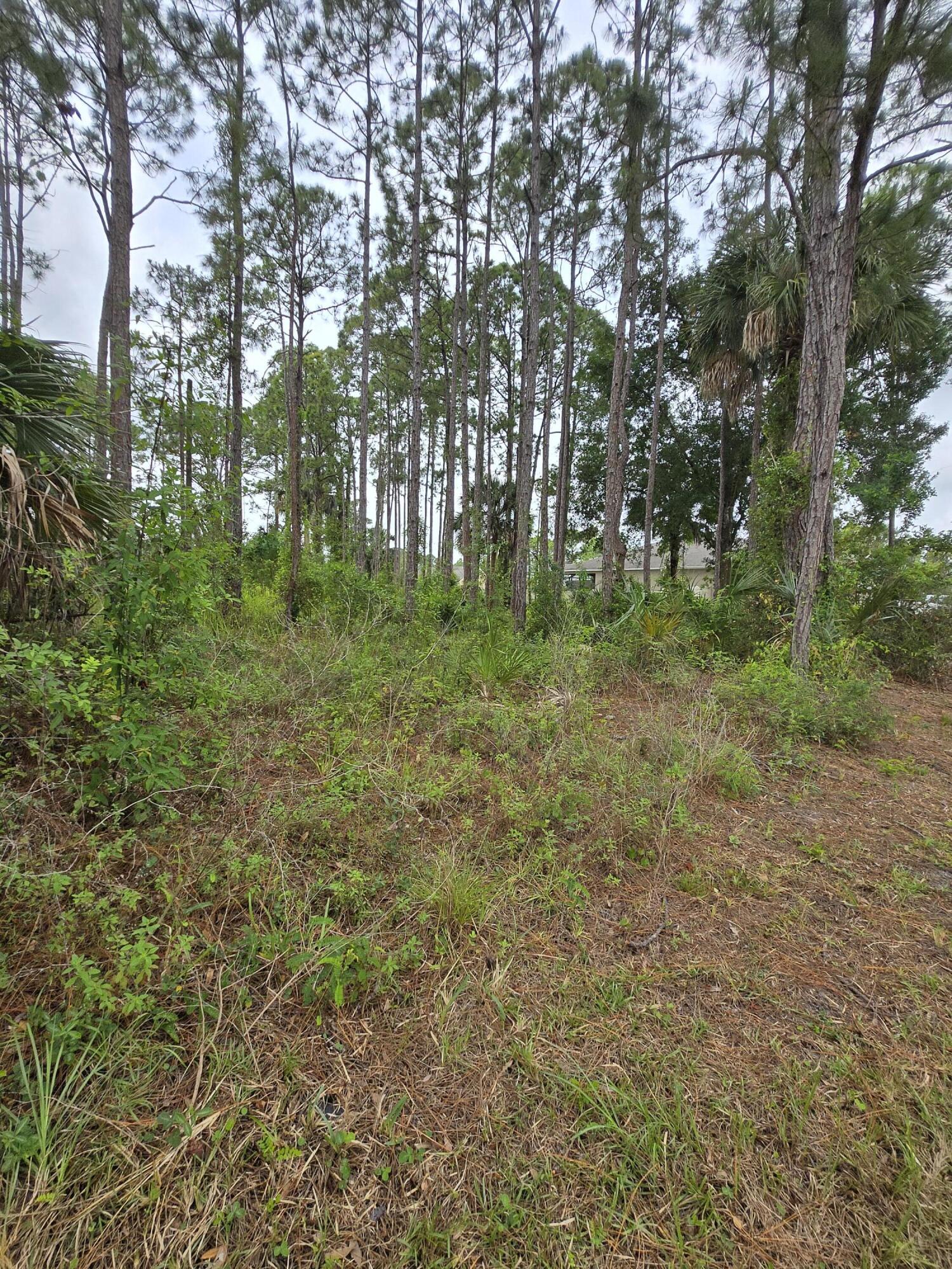 PORT MALABAR UNIT 41 - Land