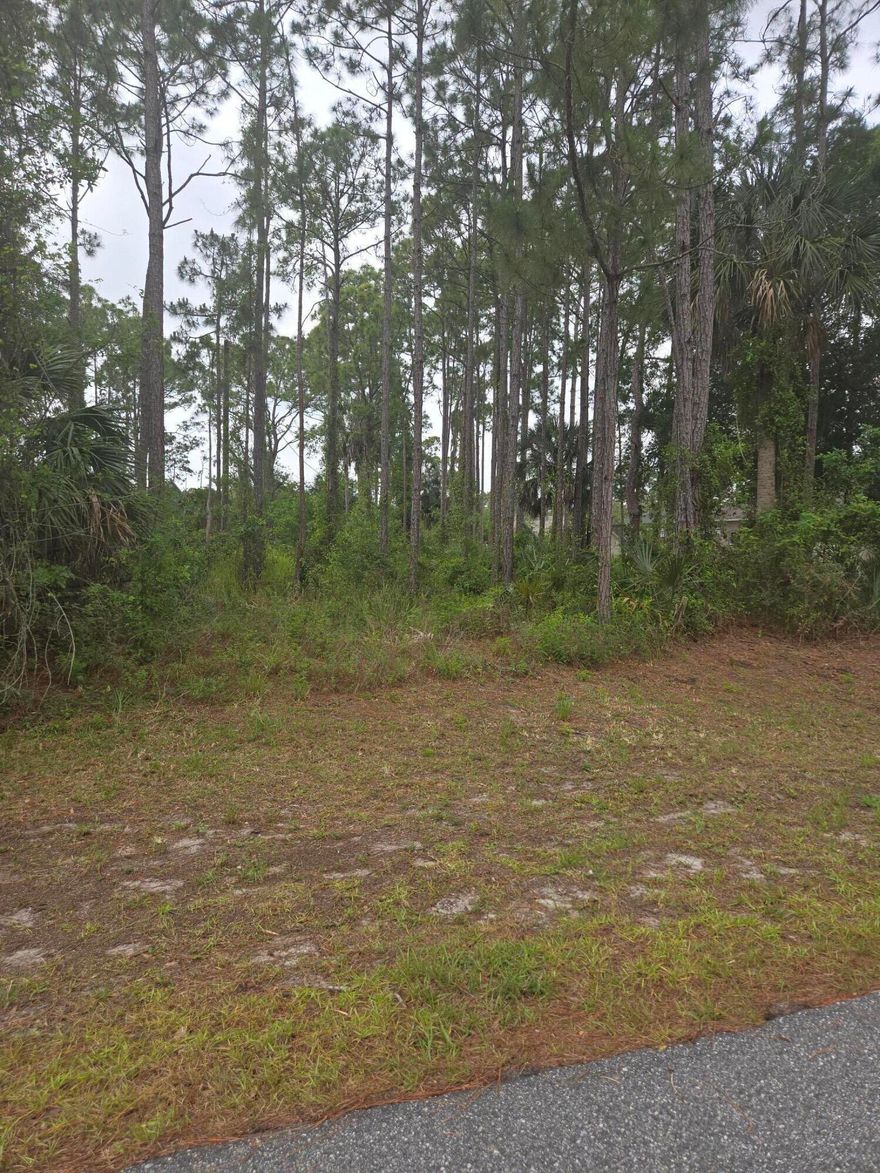 Vacant lot ready for your vision of home. Go and view and send an offer. Surrounded by new developments, close to medical facilities, shopping, schools, eateries, and parks, minutes to  highway 95.
