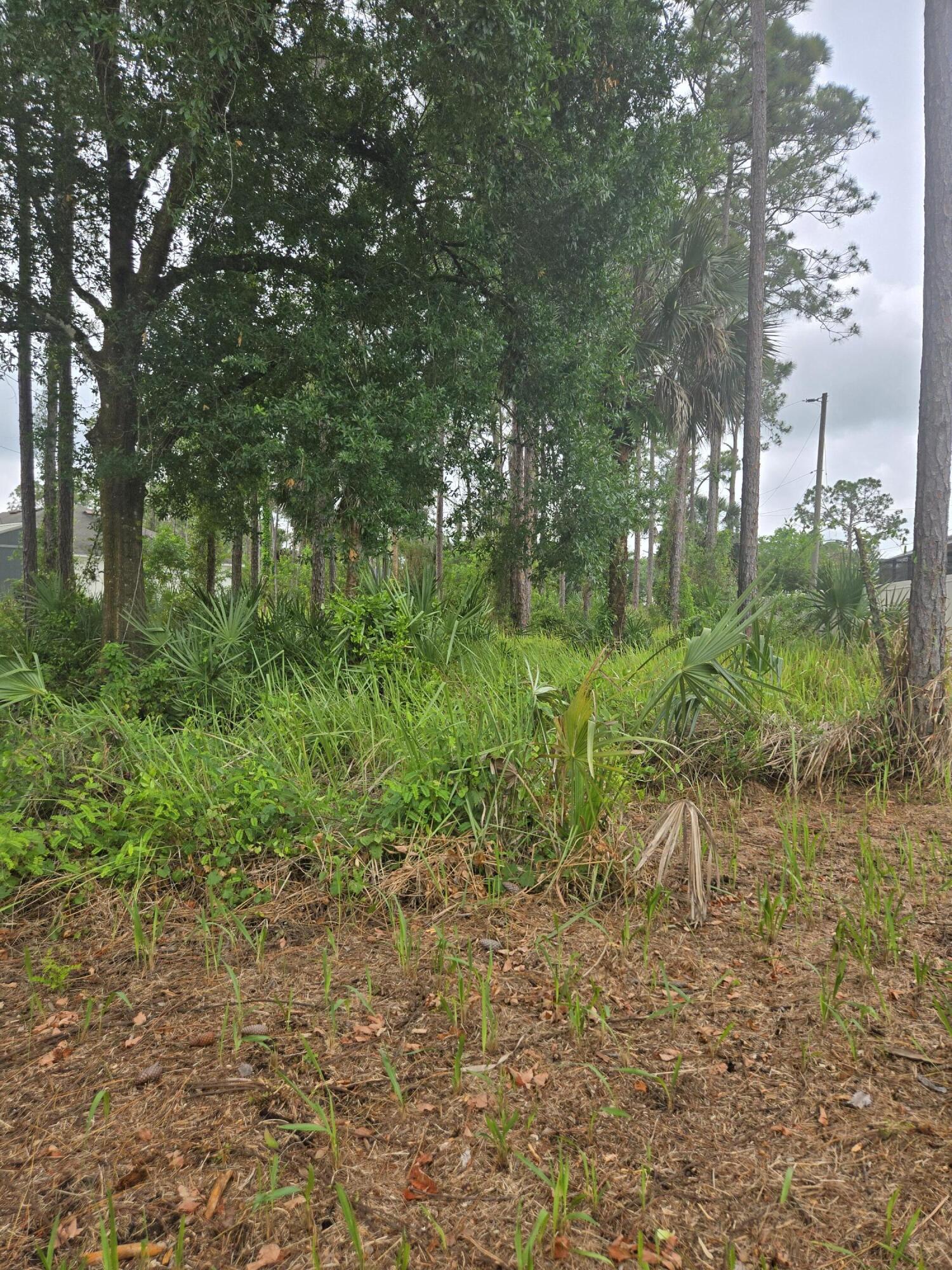 PORT MALABAR UNIT 41 - Land