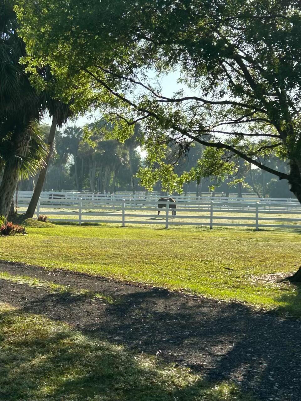 Welcome to this exceptional 6.12-acre equestrian estate, perfectly designed for horse lovers and outdoor living. The property is fully fenced with classic 4-board white PVC fencing and features 9 spacious paddocks, 3 of which are equipped with run-in shelters for the comfort and protection of your horses. A professionally sized riding arena provides ample space for training, jumping, or leisure riding. Equestrian facilities are top-tier, centered around a 3,000-square-foot barn. The barn includes 12 full-size stalls, one mini stall, a feed room, a storage/tack room, and a climate-controlled lounge for relaxing or working in comfort. Best of all, the property is located less than 20 minutes from the world-famous Wellington International equestrian venue. See full description in documents.