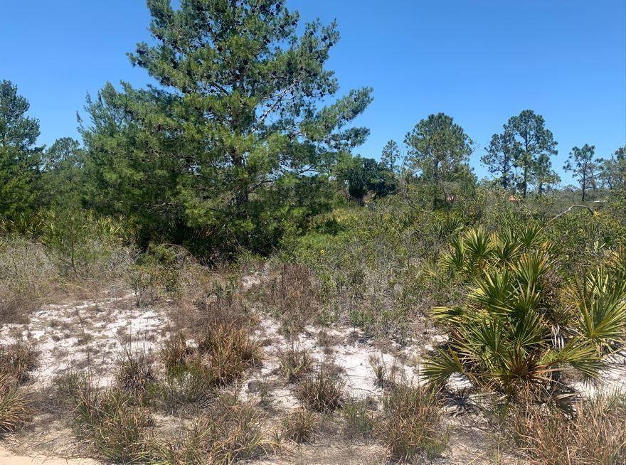 This homesite is available with a $1,000 down payment. Owner Financing Available