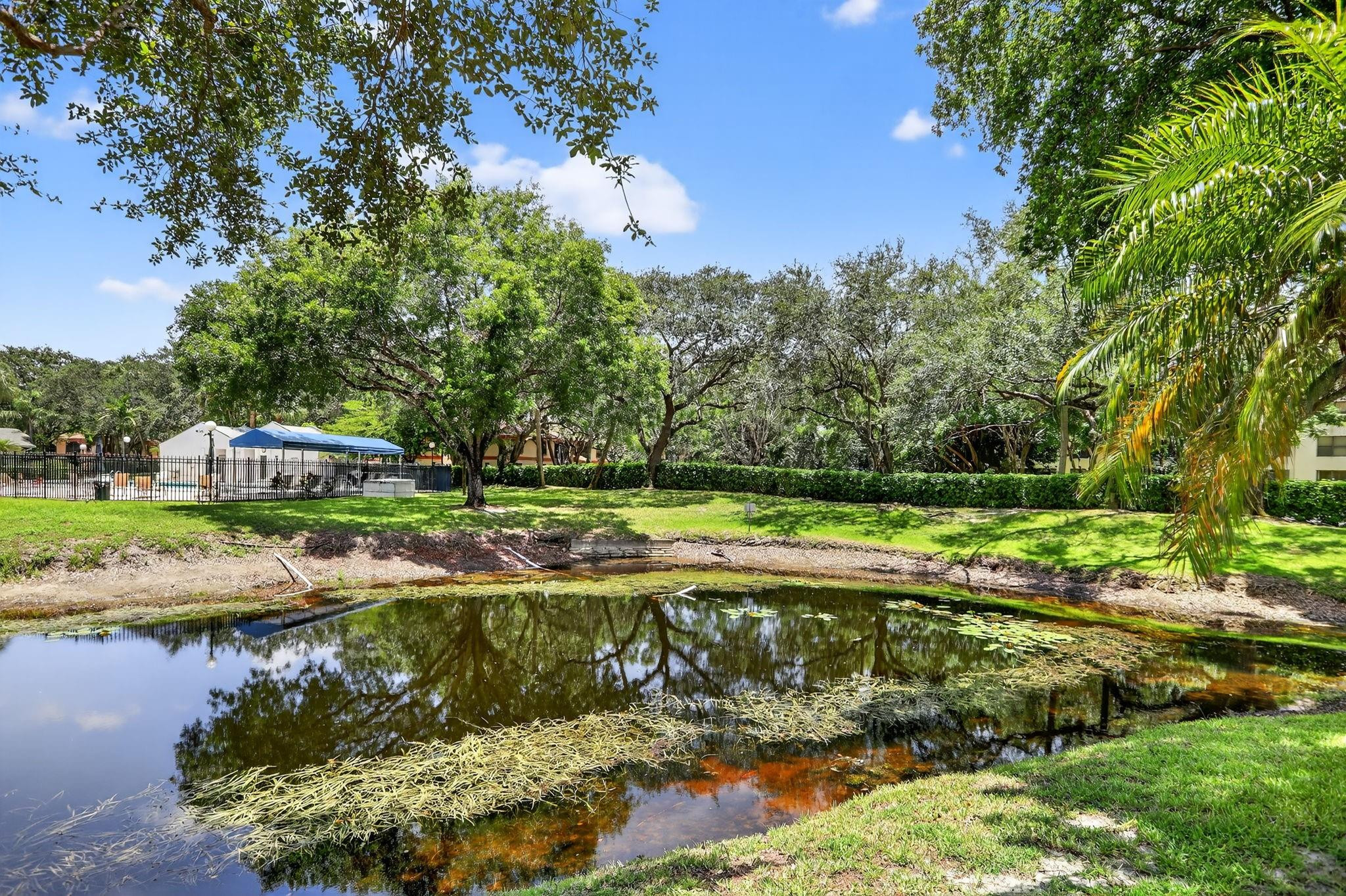 GINGER TREE - Residential