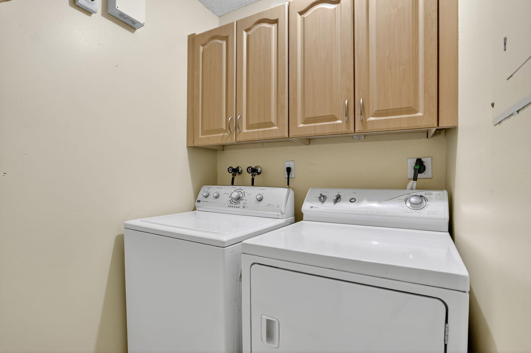 GINGER TREE - Residential