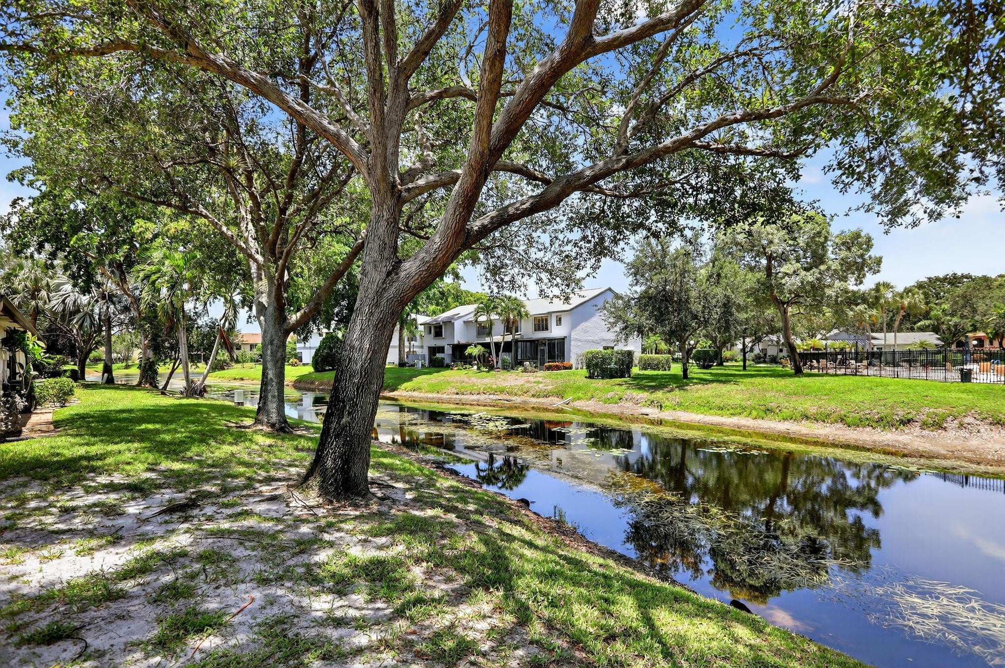 GINGER TREE - Residential