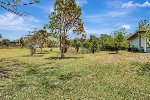 Single Family Residence in The Acreage FL 17335 36th Court Ct 46.jpg