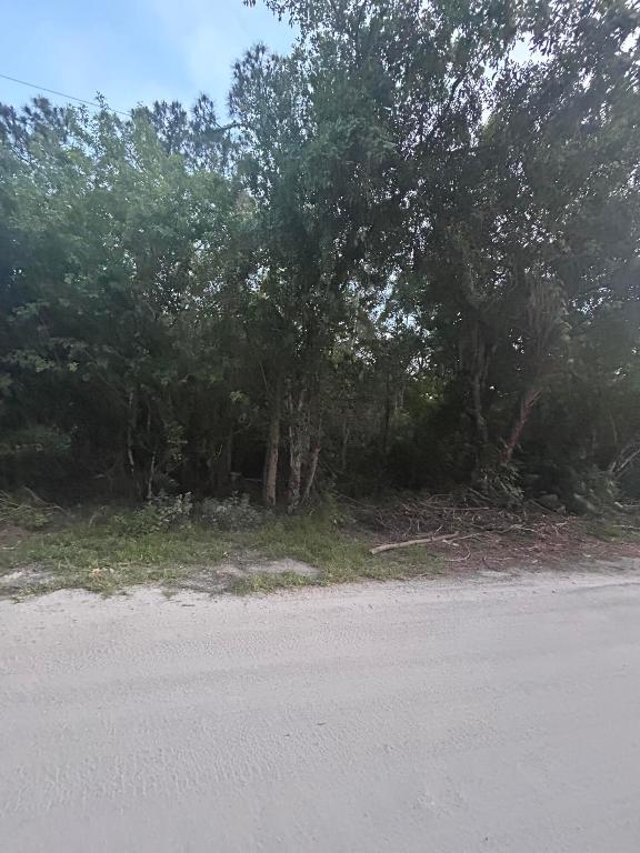 PARADISE PARK UNIT NO 2 - Land