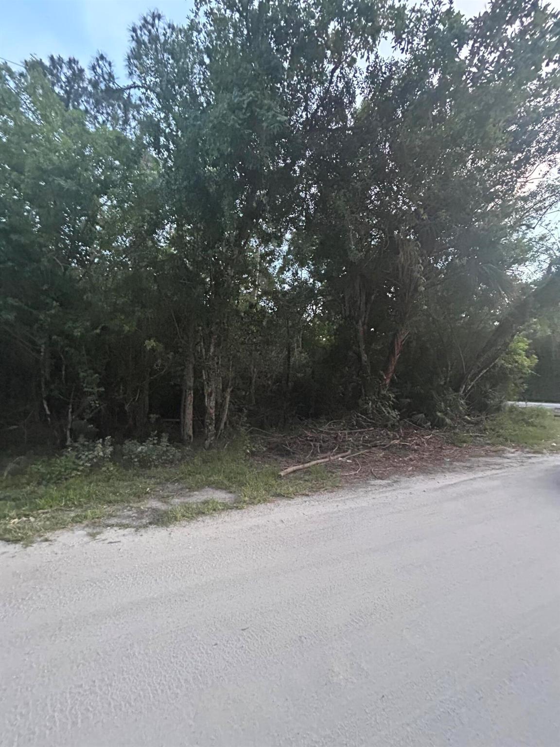 PARADISE PARK UNIT NO 2 - Land