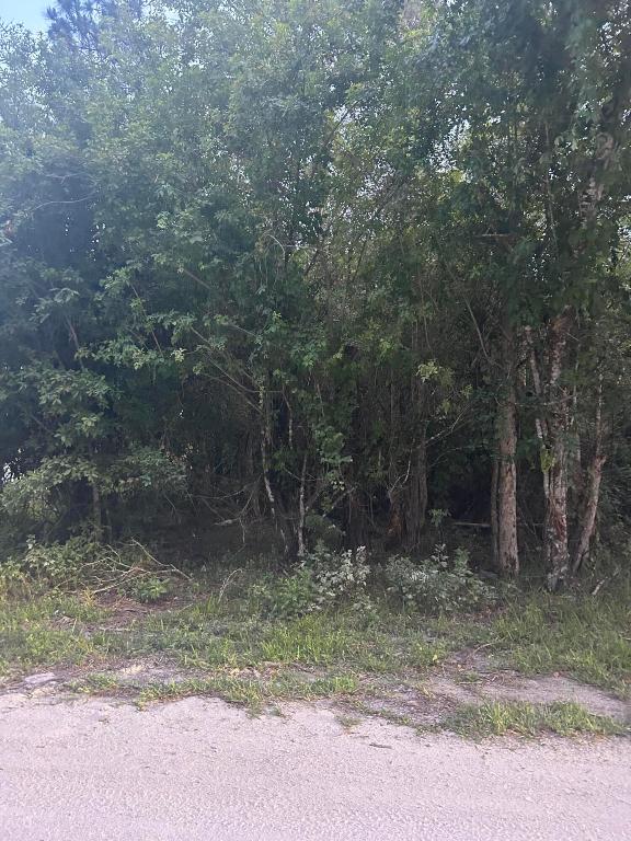 PARADISE PARK UNIT NO 2 - Land