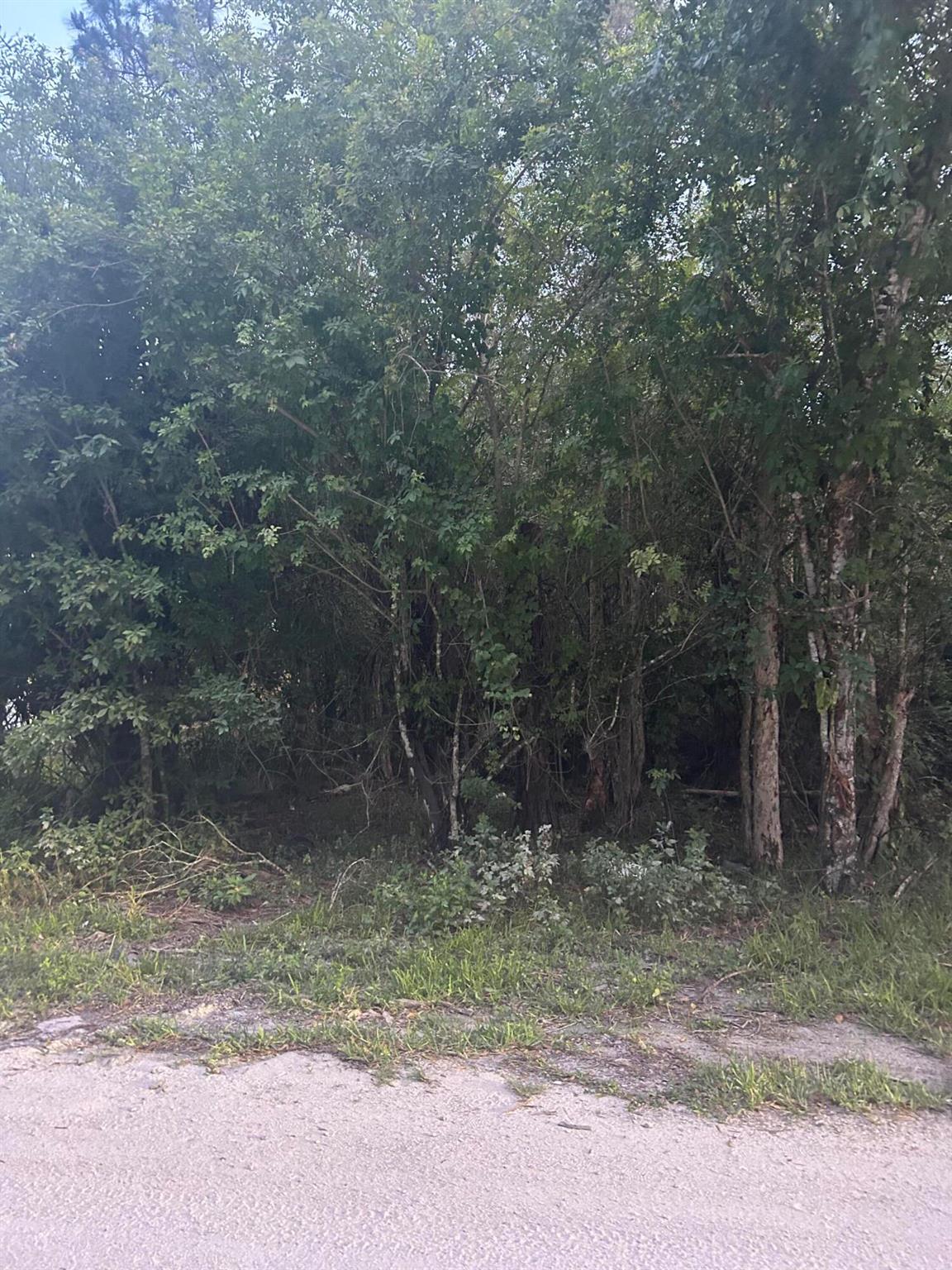 PARADISE PARK UNIT NO 2 - Land