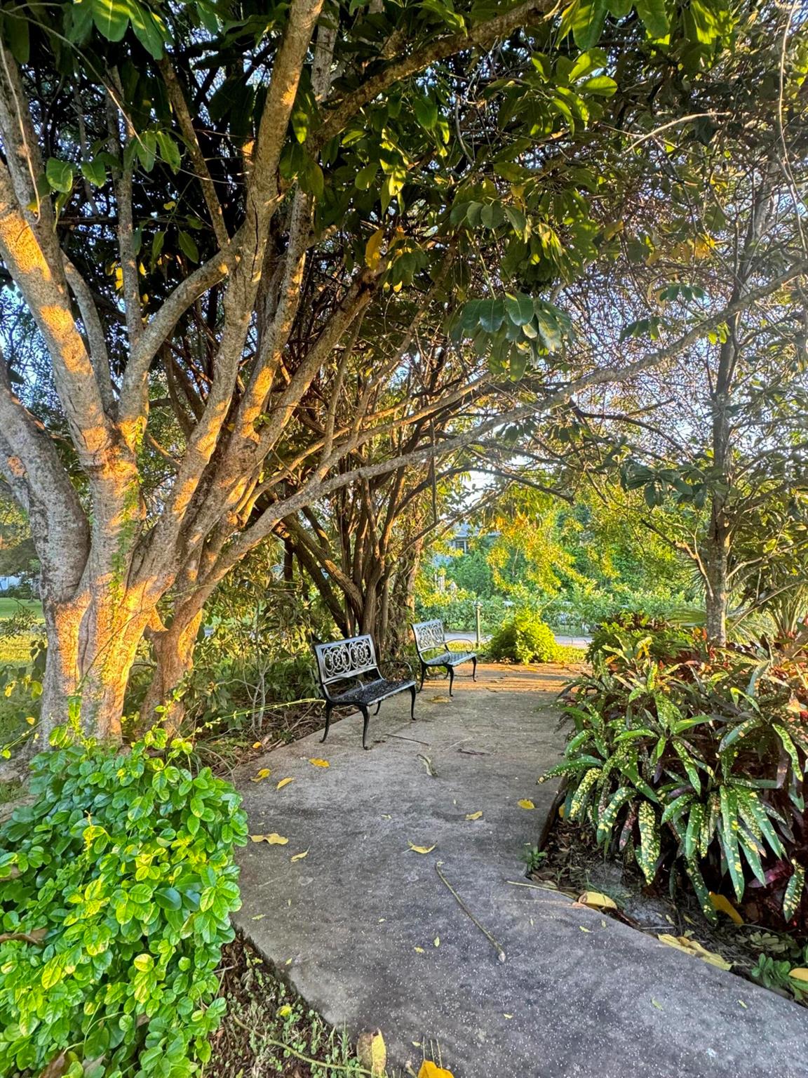 SABAL PINE CONDO - Residential