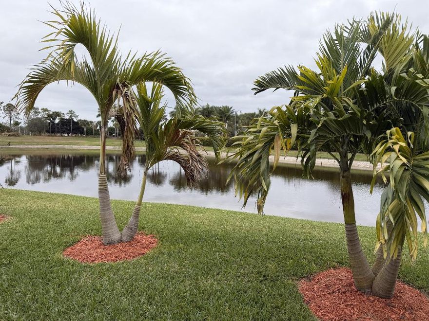 Welcome to resort-style living in this beautiful waterfront home located in a desirable **gated 55+ community** in Port Saint Lucie. Situated at 12778 SW Lake Fern Circle, this well-appointed residence offers the perfect blend of comfort, privacy, and scenic surroundings. The home features **2 spacious bedrooms plus a versatile den**, ideal for a home office, hobby room, or guest space. With **2 full bathrooms** and a **2-car garage**, the layout is thoughtfully designed for both everyday living and entertaining. Bright, open living areas flow seamlessly, creating a warm and inviting atmosphere filled with natural light. Enjoy tranquil **lakefront views** from your living space and outdoor areas, providing a peaceful backdrop for morning coffee or evening relaxation. The kitchen and living areas are designed for ease and functionality, perfect for hosting friends or enjoying quiet moments at home.

Located within a secure, gated community tailored to active adults 55 and over, residents enjoy a low-maintenance lifestyle and a welcoming neighborhood feel. The community offers a serene setting while still being conveniently close to shopping, dining, medical facilities, and major roadways.

This home is ideal for those seeking comfort, security, and a vibrant lifestyle in a waterfront setting. Whether you're downsizing, retiring, or simply looking for a peaceful place to call home, this property delivers exceptional value and quality living in one of Port St. Lucie's most sought-after 55+ communities.