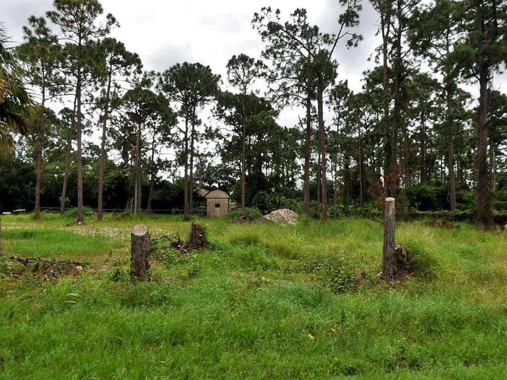 Photo of 1952 SW Delmonico Avenue #Lots 6 &amp; 7, Port Saint Lucie, FL 34953 (MLS # R10701163)