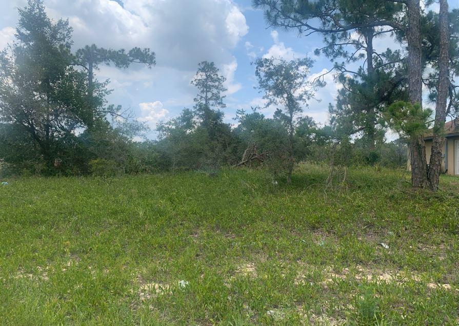 Waterfront building lot in Sun n Lakes with owner financing. Great neighborhood and great neighbors! Only $2,500 down. Buy today and build when you’re ready!