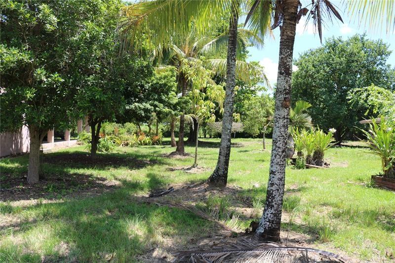 Acreage - Residential