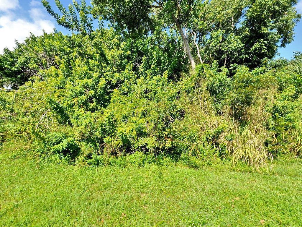 Photo of 5054 NW Fawn Street, Port Saint Lucie, FL 34952 (MLS # R10973236)