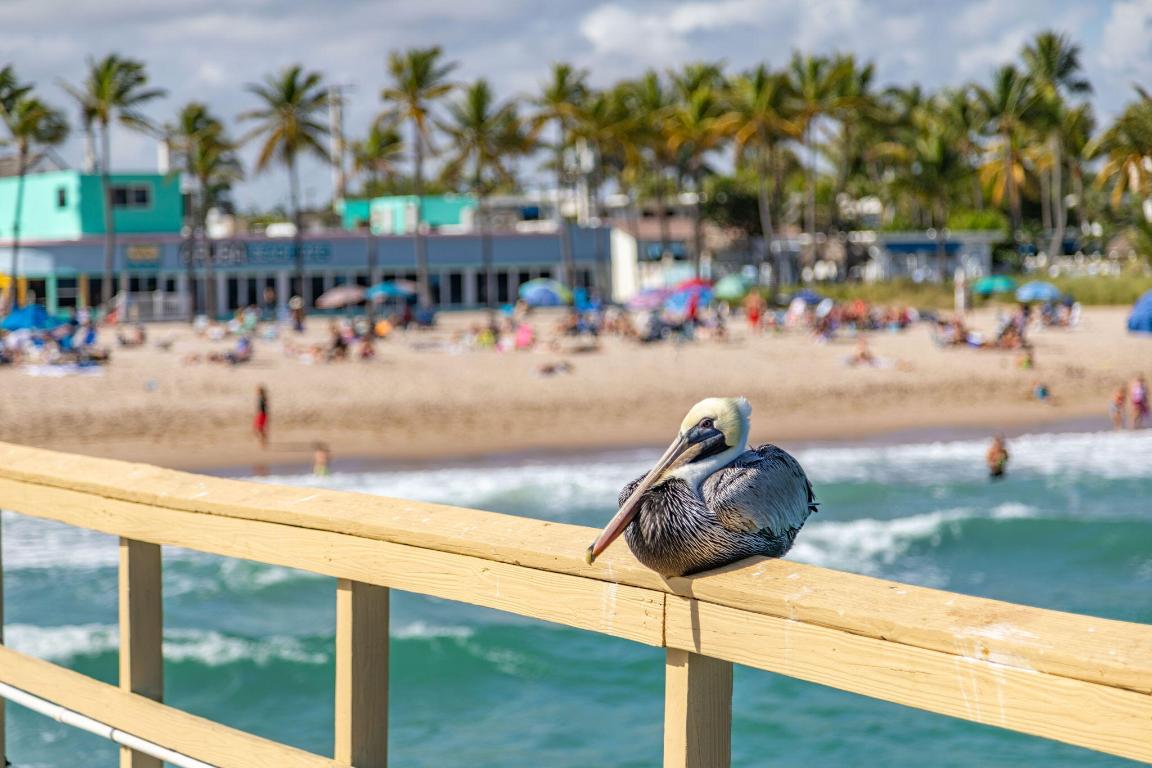 Parliament House - Residential