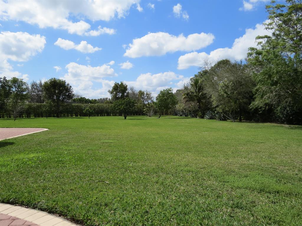 PADDOCK PARK 2 OF WELLINGTON - Residential