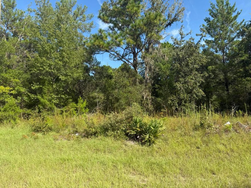 Looking for the perfect place to bring your vision to life? This .23-acre residential lot is located in the heart of Marion Oaks Unit 11, offering a quiet setting with convenient access to town. Zoned R-1 for single-family homes, this property gives you the freedom to build without HOA fees or community restrictions. Utilities are nearby, with electricity available at the street, and the lot is suitable for a private well and septic system, making it an excellent site for a custom build. The parcel sits on a paved, county-maintained road, surrounded by established homes and natural Florida scenery. Enjoy close access to Marion Oaks parks, community centers, walking trails, and major roadways that connect you quickly to Ocala's shopping, dining, medical centers, and daily conveniences. Sto