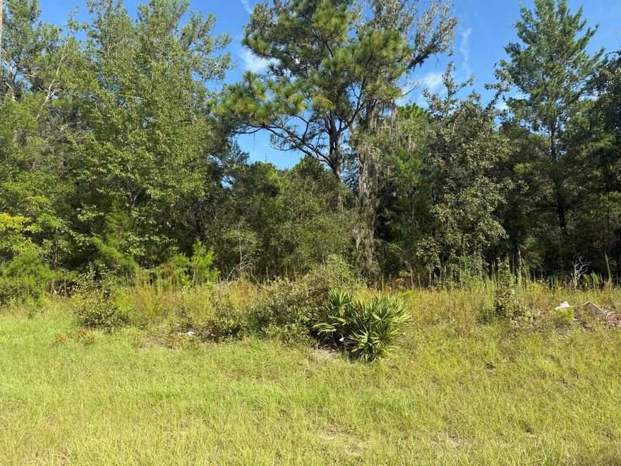 Looking for the perfect place to bring your vision to life? This .23-acre residential lot is located in the heart of Marion Oaks Unit 11, offering a quiet setting with convenient access to town. Zoned R-1 for single-family homes, this property gives you the freedom to build without HOA fees or community restrictions. Utilities are nearby, with electricity available at the street, and the lot is suitable for a private well and septic system, making it an excellent site for a custom build. The parcel sits on a paved, county-maintained road, surrounded by established homes and natural Florida scenery. Enjoy close access to Marion Oaks parks, community centers, walking trails, and major roadways that connect you quickly to Ocala's shopping, dining, medical centers, and daily conveniences. Sto