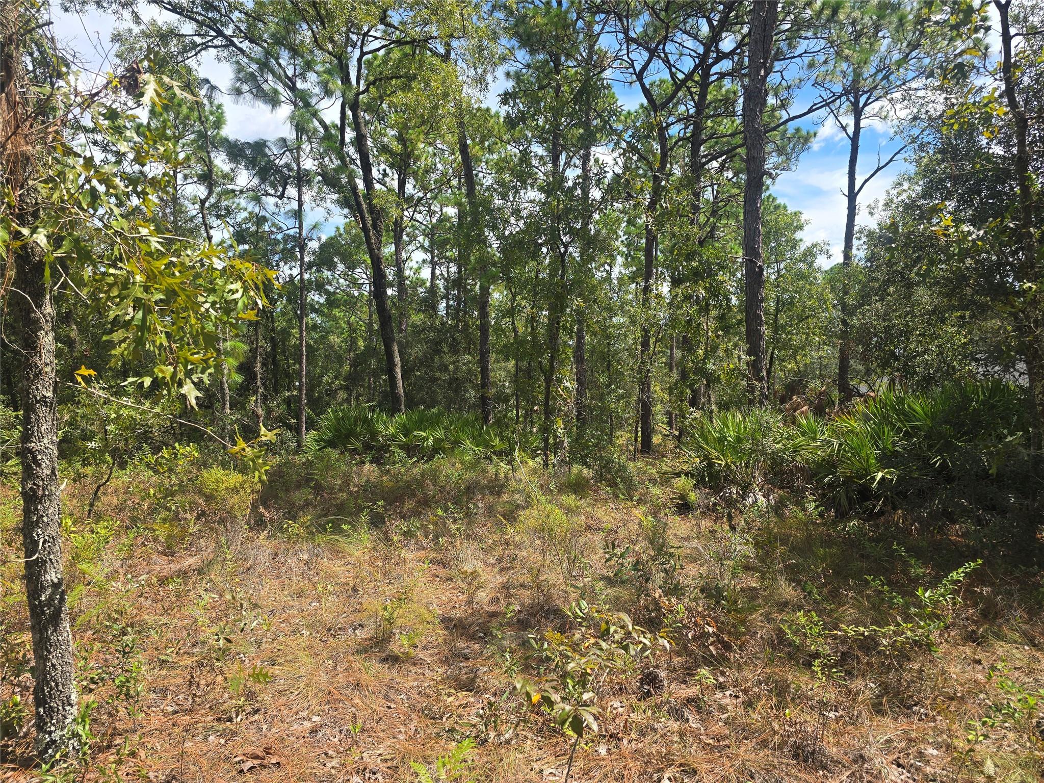 Citrus Spgs Unit 14 - Land