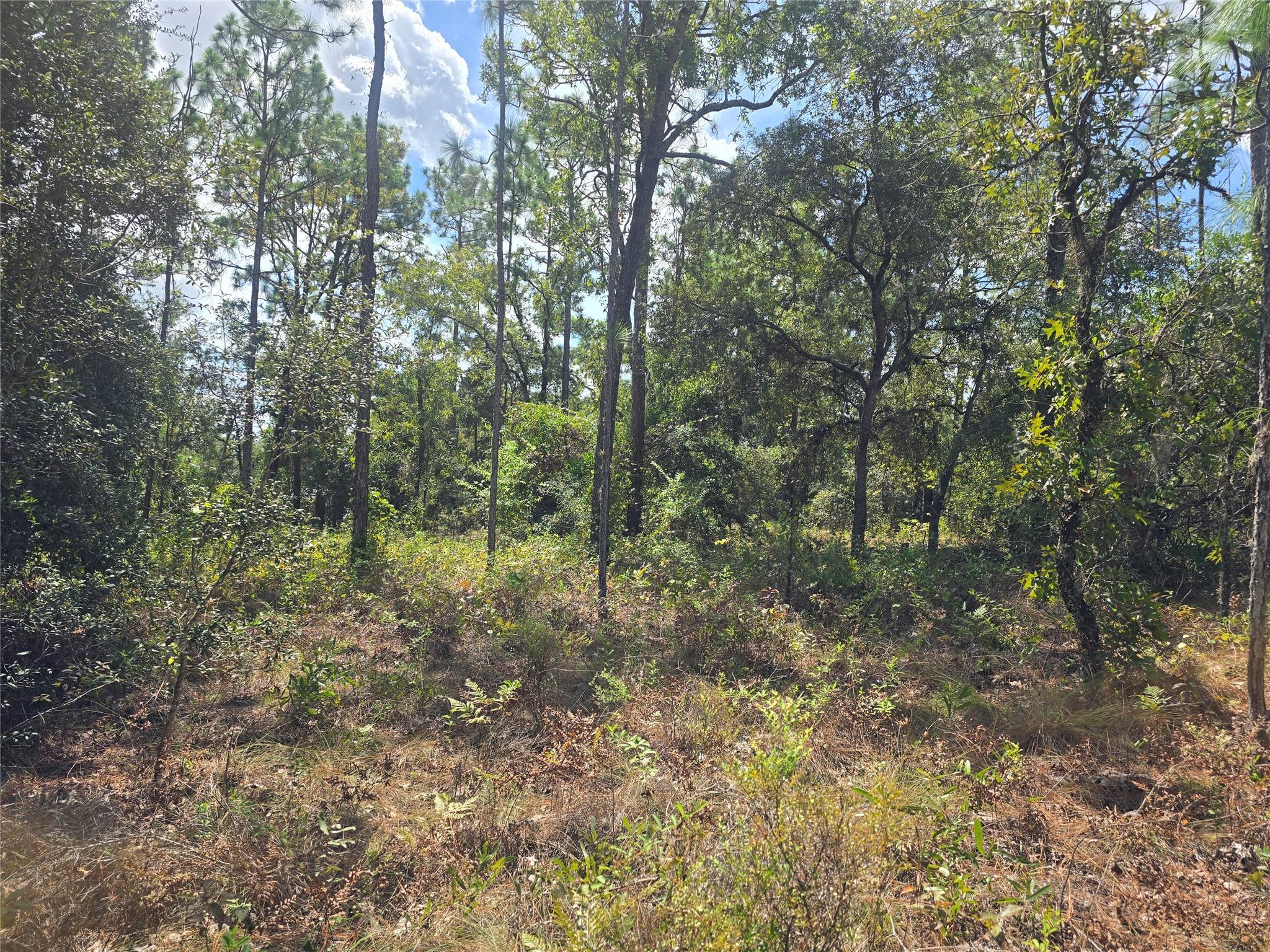 Citrus Spgs Unit 14 - Land