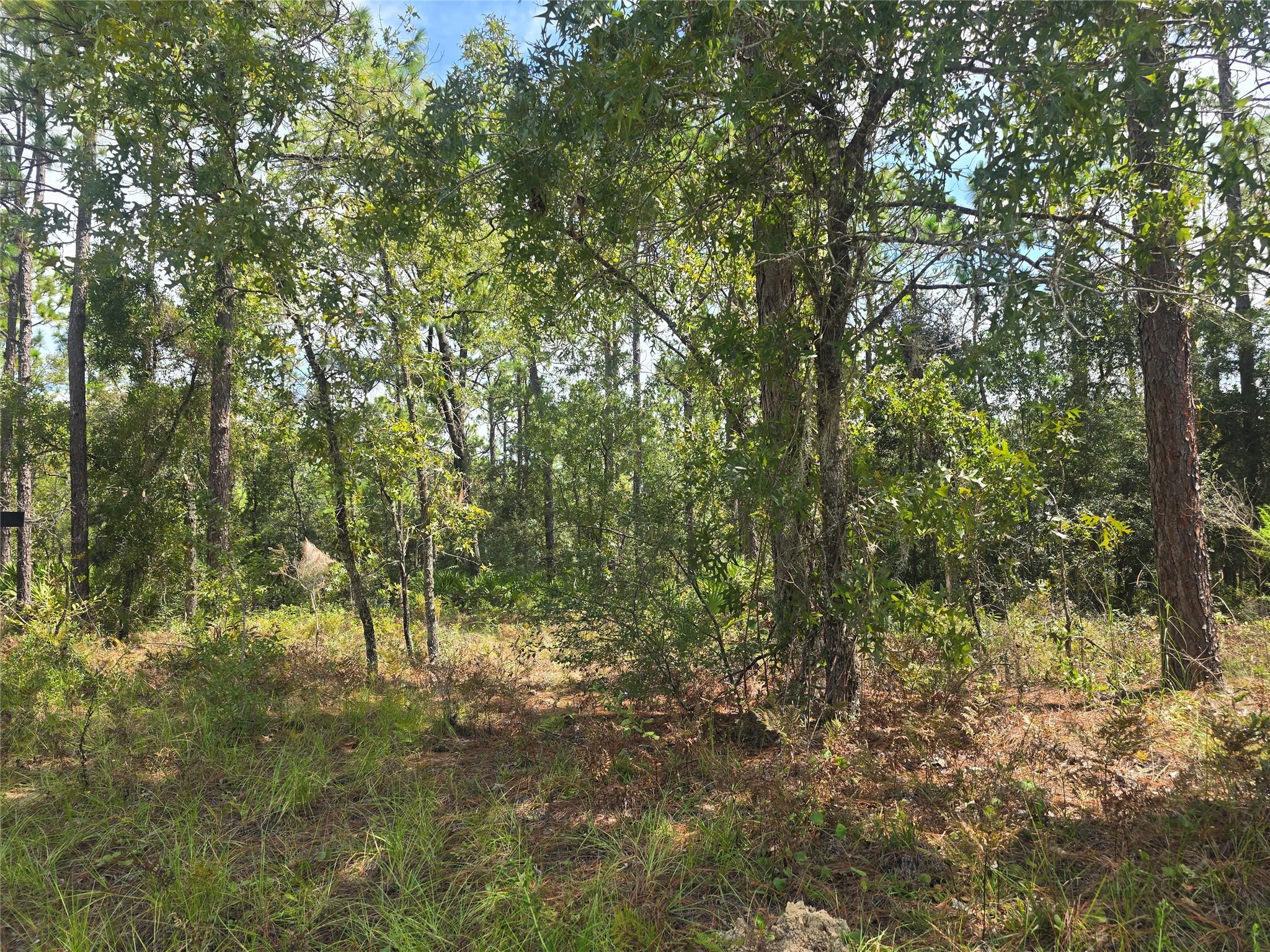 Citrus Spgs Unit 14 - Land