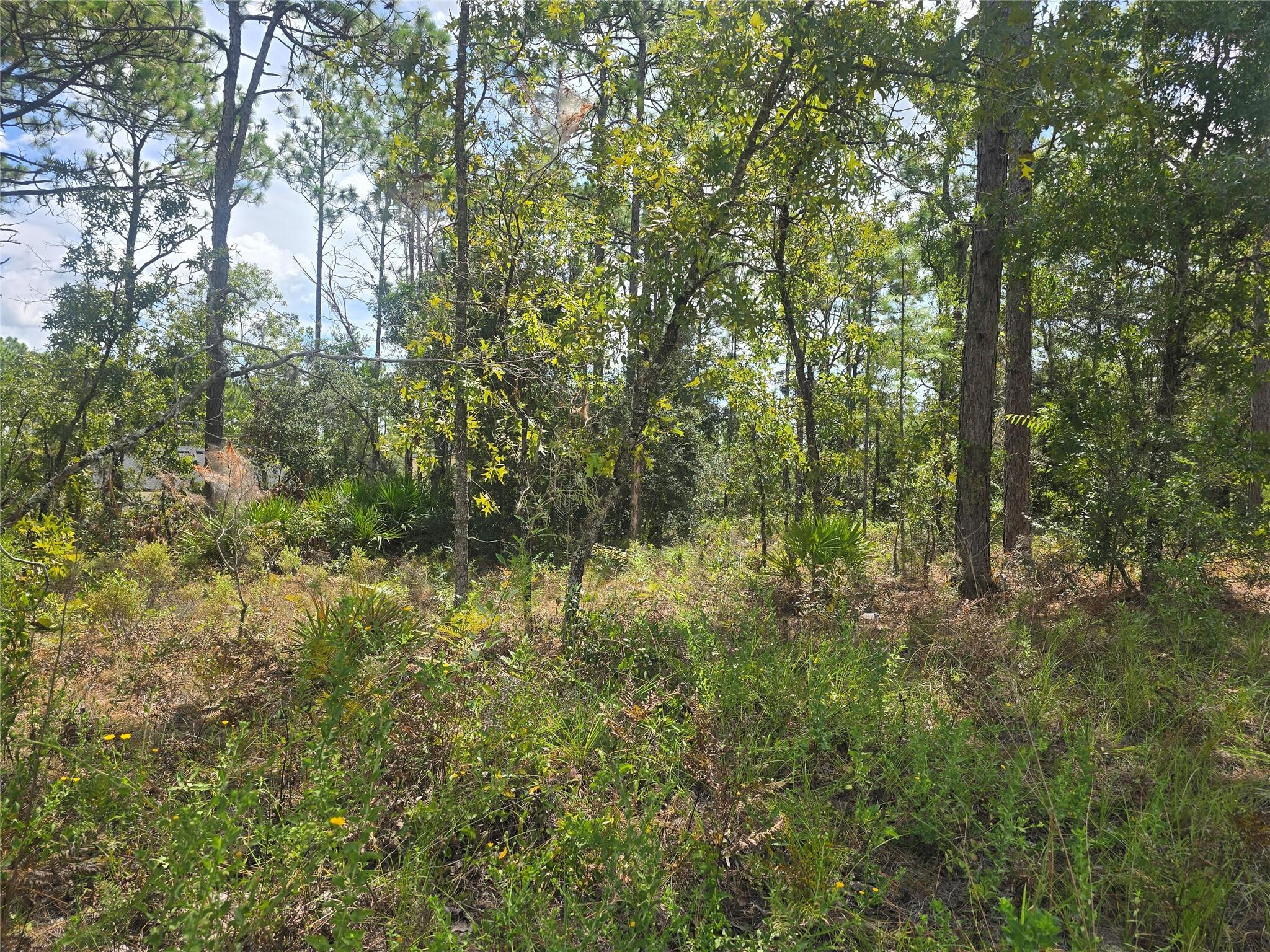 Citrus Spgs Unit 14 - Land