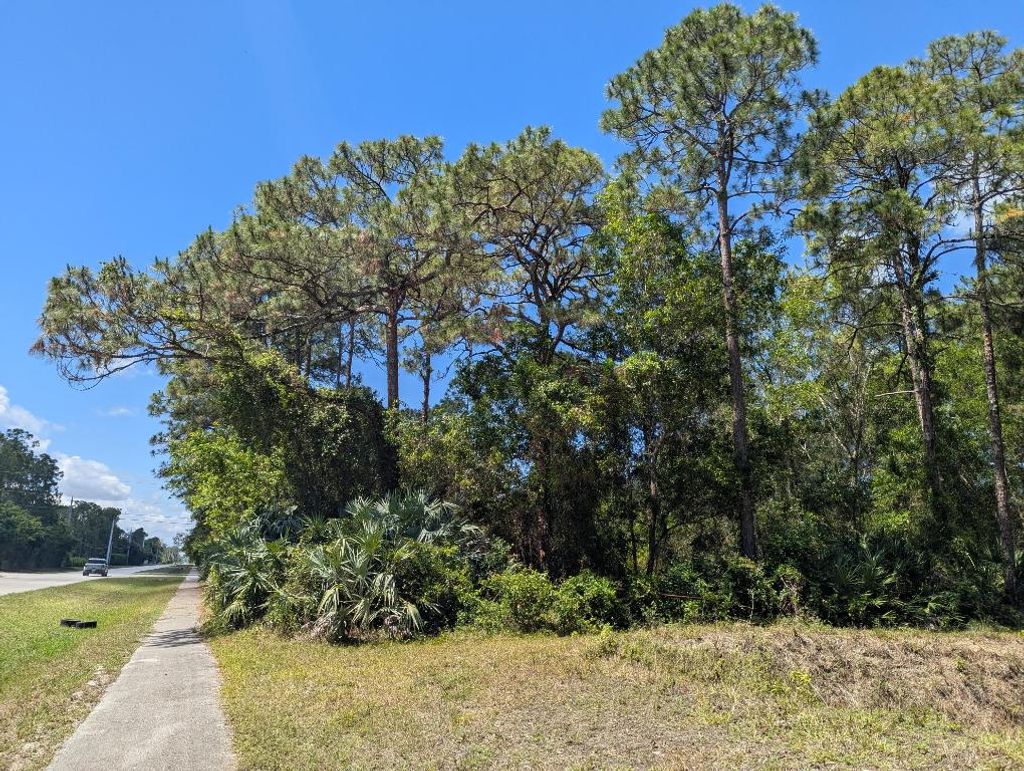 Photo of 237 Mandarin Boulevard, Loxahatchee, FL 33470 (MLS # R11090780)