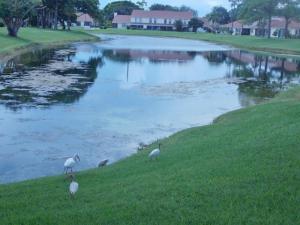 JOGGERS RUN - Residential