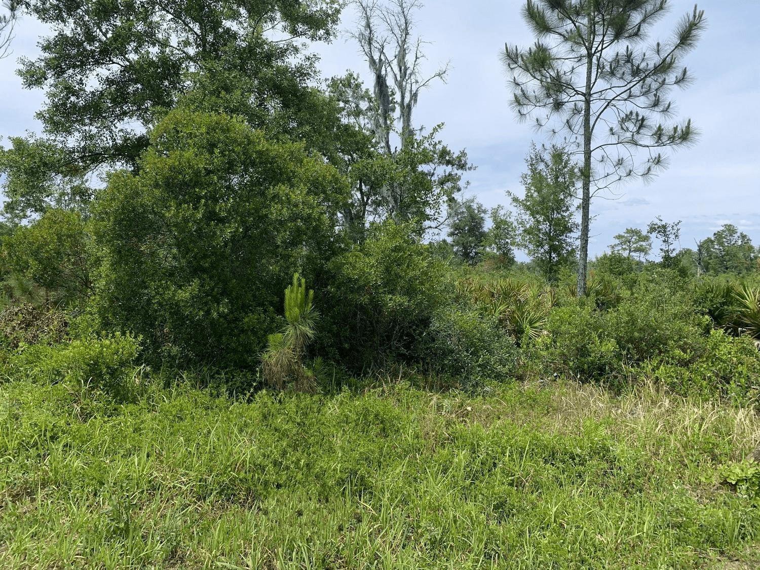 Rancho Bonito RB63 - Land