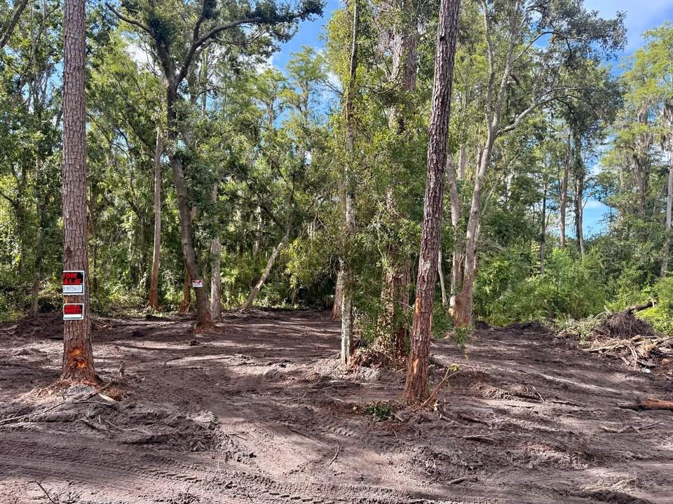 Wonderful opportunity to build your new home in the fast growing well established area of Citrus Park. Rare find for a site so close to everything & no HOA. Ideal for Nature lovers who want easy access to all of the conveniences. There is a lovely creek that runs along the back of this 52 x 105 ft lot adorned with majestic trees. The land has been partially cleared to allow for a homesite while retaining natural beauty & privacy. Minutes to Shopping, Dining, Medical, Veterinary, Schools, Park, Sports, Citrus Park Town Center & more, about 10 mi to the airport yet tranquil & serene. Easy commute Suncoast Pkwy exit blocks away! Capitalize on today's market by owning your land current taxes +/- $108 No HOA! Adjacent may be available thru another owner for a larger build. Bring all offers!