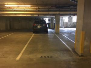 WAVERLY AT LAS OLAS CONDO - Residential Lease