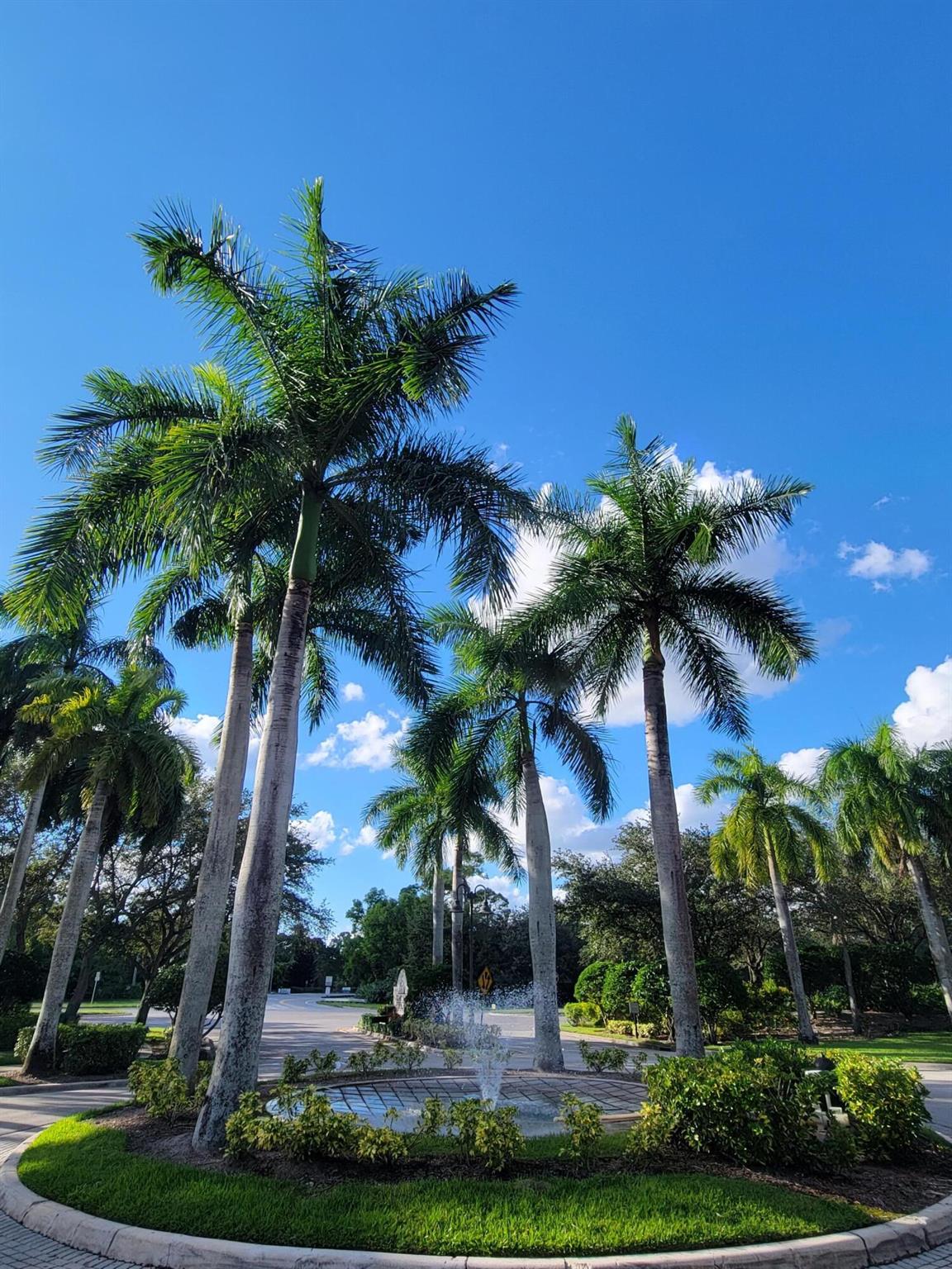 GRAND VIEW AT CRESTWOOD CONDO - Residential Lease