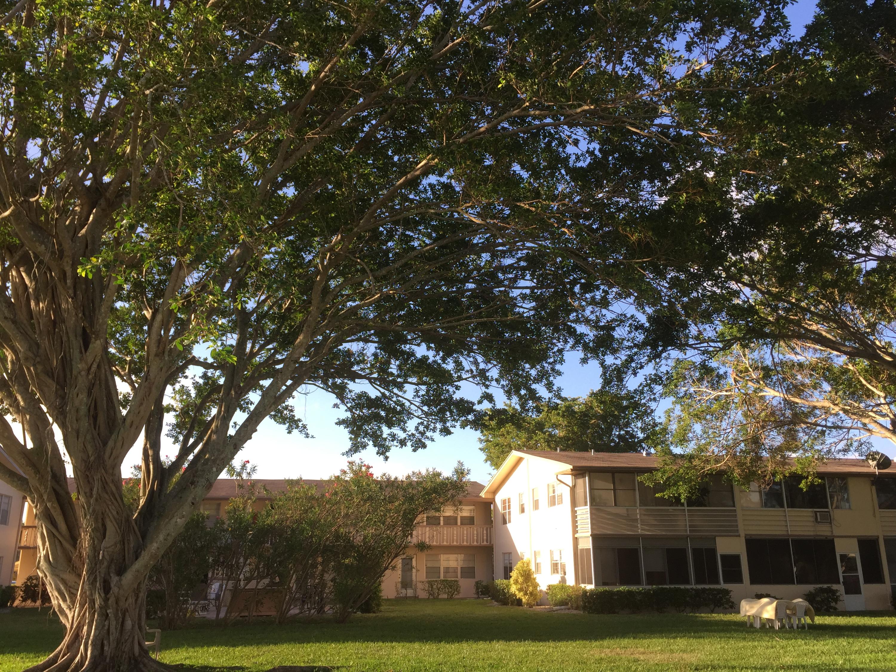 Century Village - Residential