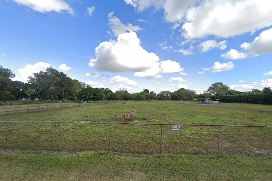 Virgin Empty Lot as is. Build your dream home or platt up to 3 or 4 lots.
4.8 acres / 210, 128 sq ft of empty land in a lovely Davie neighborhood.