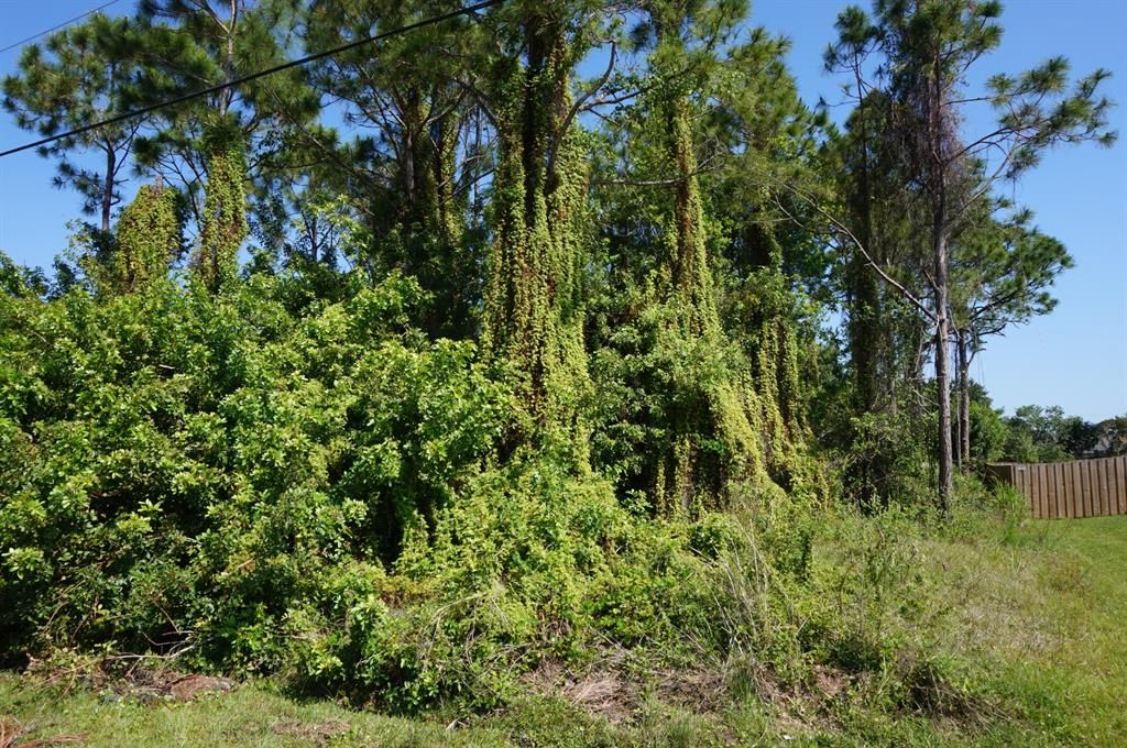 Photo of 717 SE Lansdowne Avenue, Port Saint Lucie, FL 34983 (MLS # R10710377)