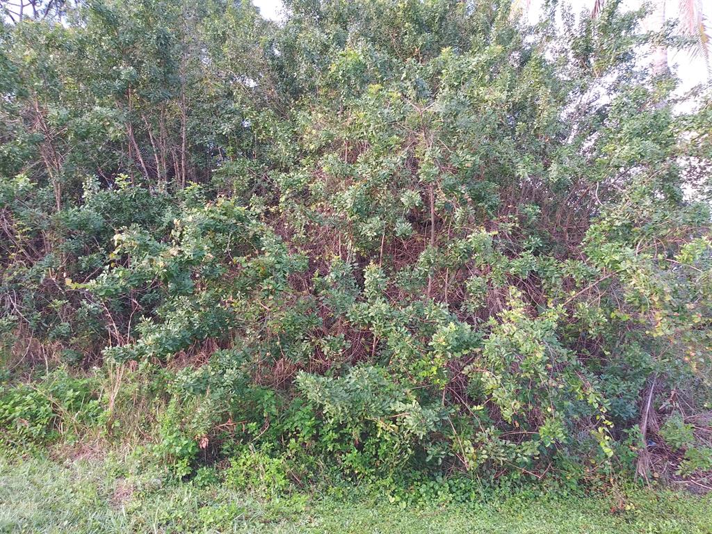 PORT ST LUCIE SECTION 41 - Land