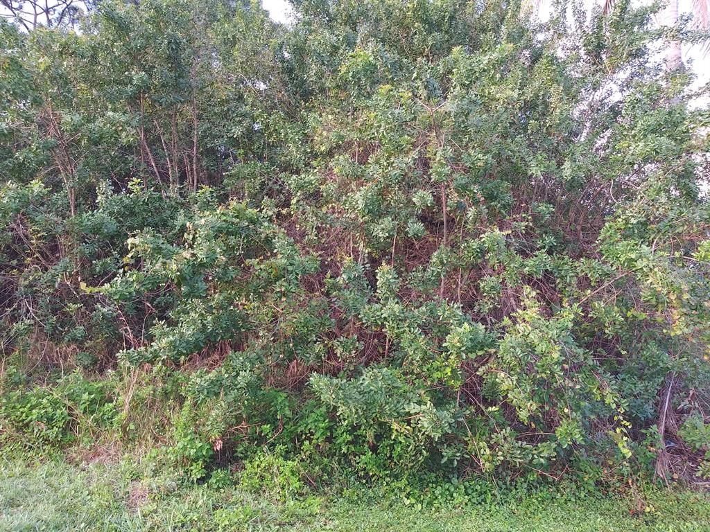 PORT ST LUCIE SECTION 41 - Land