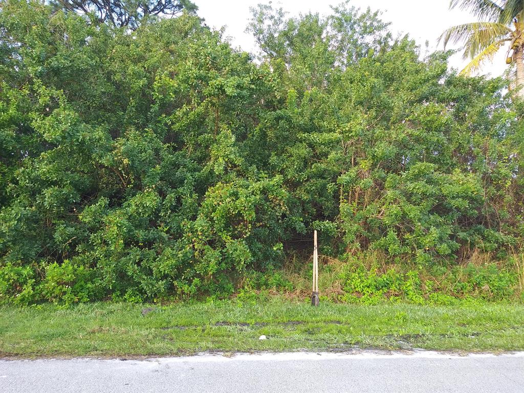 PORT ST LUCIE SECTION 41 - Land