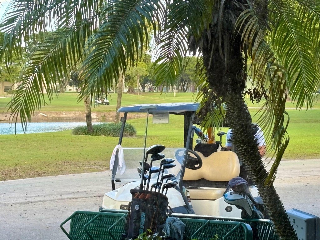 Oriole Golf & Tennis TWO - Residential