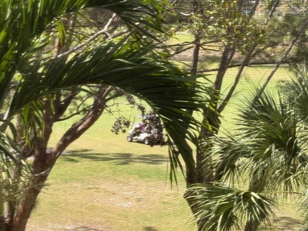 Oriole Golf & Tennis TWO - Residential